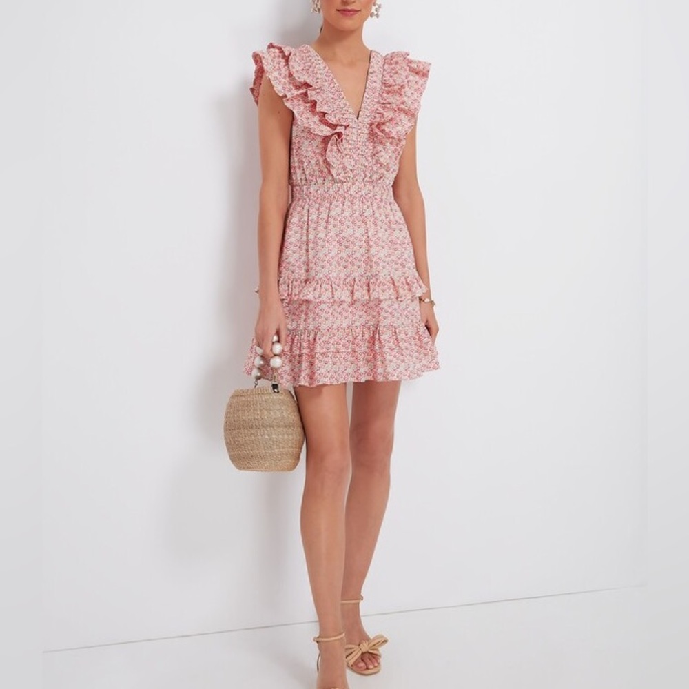 NWT Hyacinth House April Floral Mini Dress